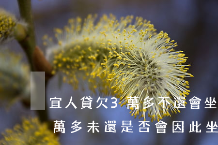 宜人貸欠3萬多不還會坐牢嗎，宜人貸欠款3萬多未還，是否會因此坐牢？
